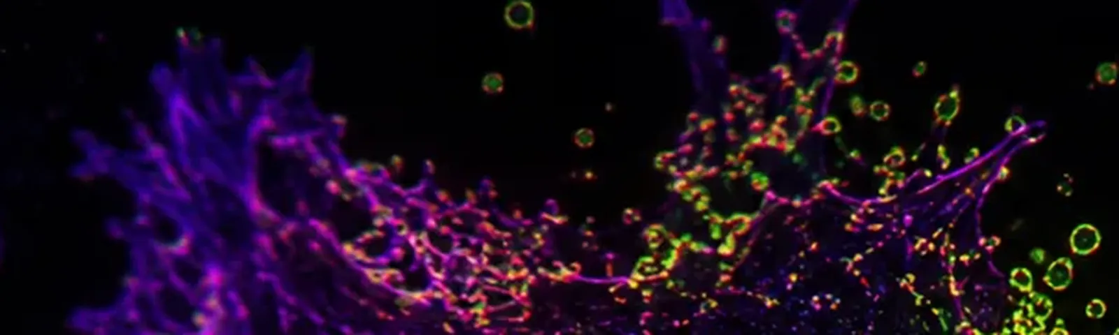 Molecular fluorescence imaging — Auspicious Laboratory, Houston