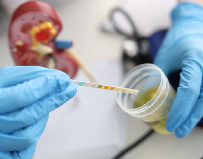 Lower Abdominal Discomfort: Possible Causes, What It Signals, and When Lab Testing Helps